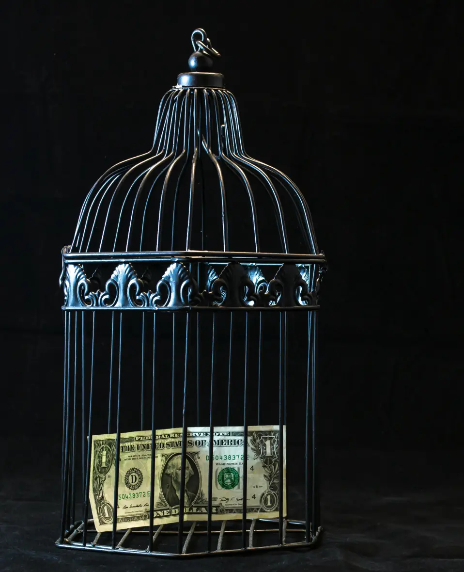 dolar v kleci
